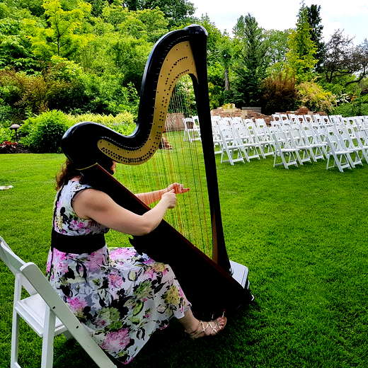The Classic Harpist Classical - Classical Crossover