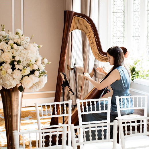 The Best Harpists For Hire Near Me (Oct 2023) | Get Prices