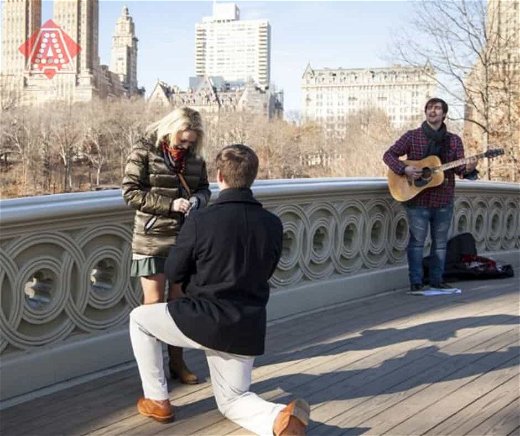 Marriage Proposal Musicians